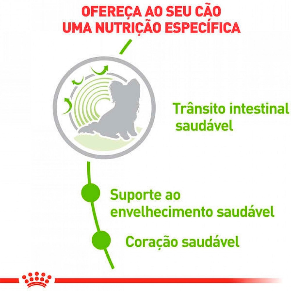 Ração Seca Royal Canin X-Small Ageing 12+ Cães Adultos e Idosos Mini 12 Anos ou mais