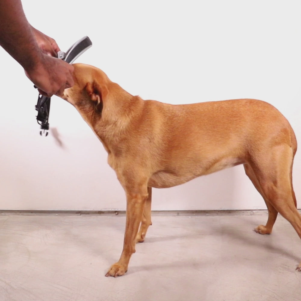 Peitoral Soft Walk Zee.Dog Gotham para Cães